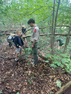 Sint-Martinus den XIIde - Opening 2024